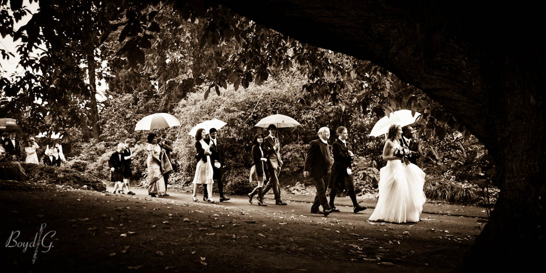 Bride, groom, and wedding party is perfectly framed by a tree branch in the botanical gardens