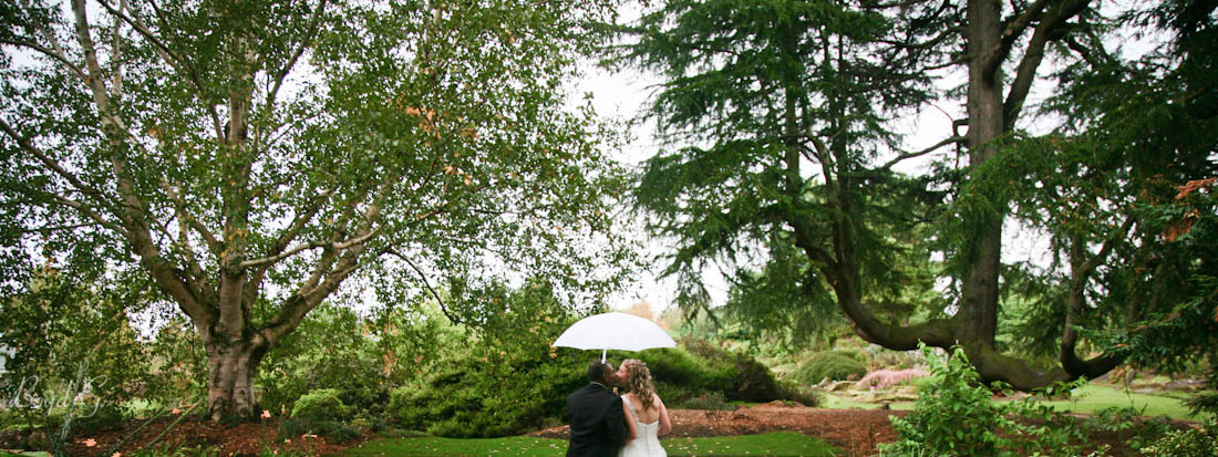 Bride and groom walking and kissing in the botanical gardens while holding an umbrella to protect them from the rain.